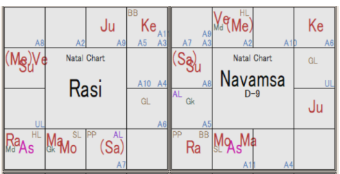 エルドアン ラーシチャート＆ナヴァムサ D-9
