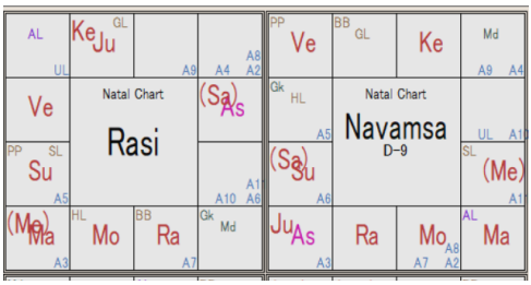 Meloni Rasi Chart & Navamsha D-9